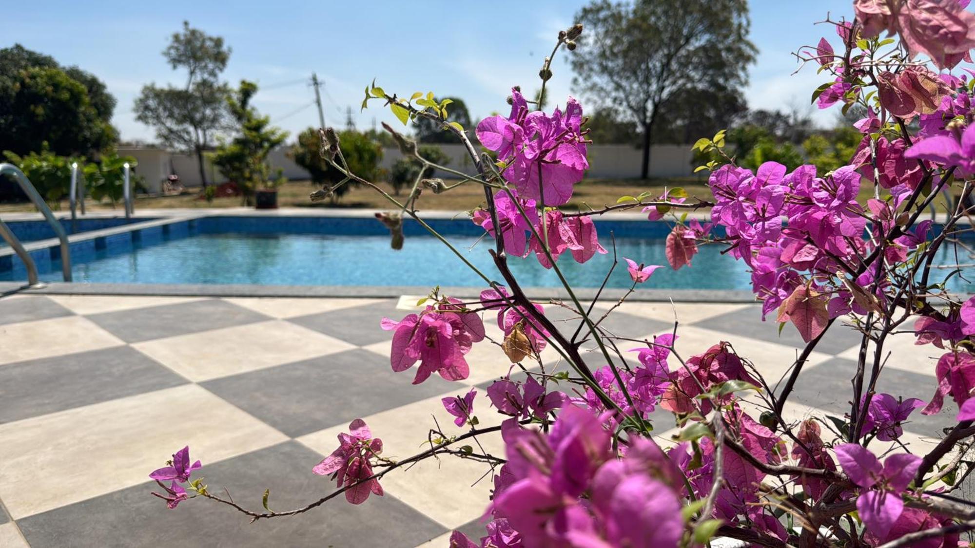 Raj Home Stay Майсур Экстерьер фото